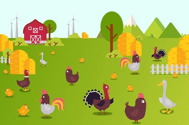 Illustrazione della raccolta della fattoria degli animali. galline, anatre, tacchini e pulcini in cortile. allevamento di uccelli in campagna