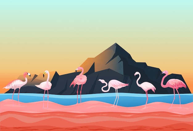 Animal flamingo place, natural landscape flat vector illustration. Beautiful poultry stand shallow water river, rock mountain space.