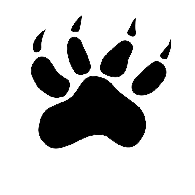 Animal footprints bear wolf dog cat Vector illustration