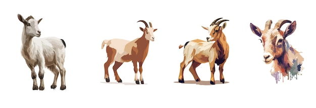 Animal goat and sheep sticker Print