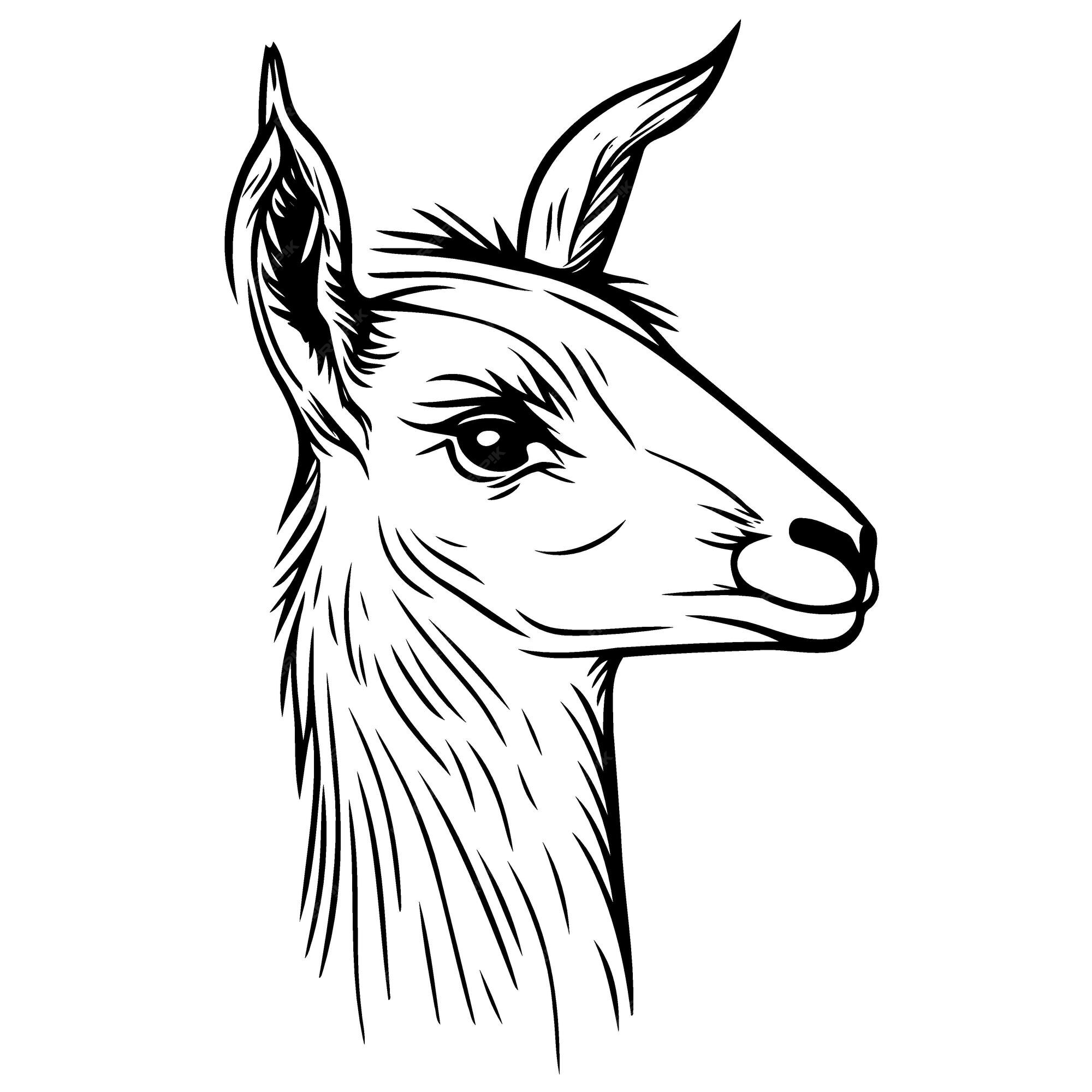 Premium Vector | Animal head domestic camelid llama