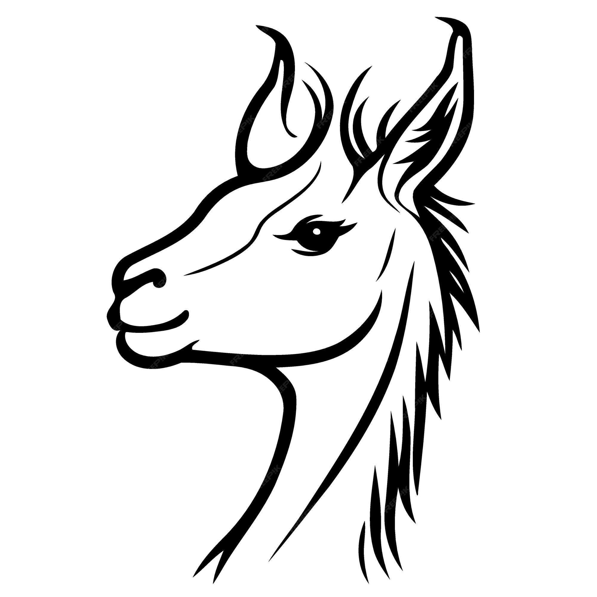 Premium Vector | Animal head domestic camelid llama