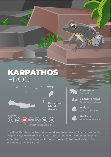 Vettore poster della rana di karpathos serie infografica animale