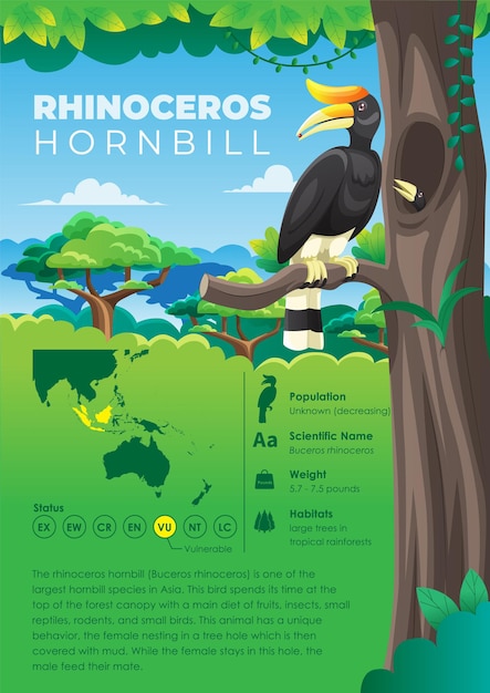 Animal infographic series - neushoorn neushoornvogel