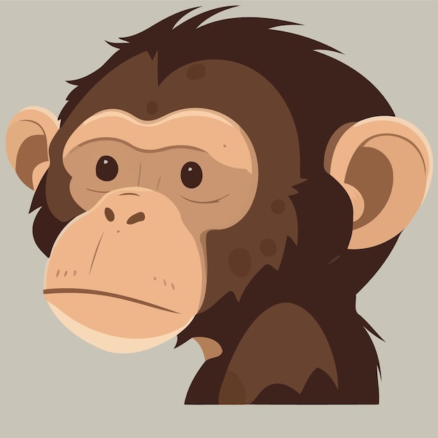 Vector animal mammal cute primate chimpanzee