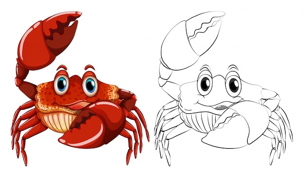 Animal outline for crab