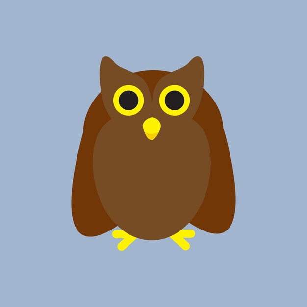 animal owl