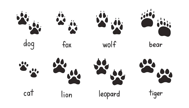 Vector animal paw prints set different animals footprints collection dog fox wolf bear cat lion leopard