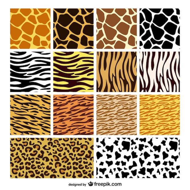 Vector animal print patterns collection