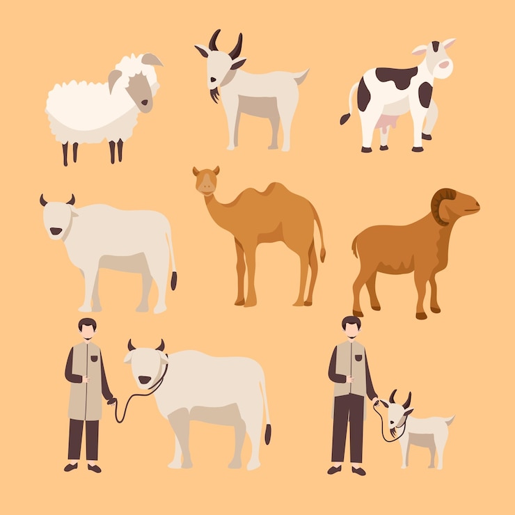 Vector eid al adha 삽화의 동물 꾸르반