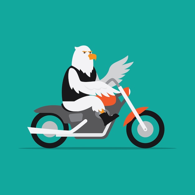 animal riding a motorbike