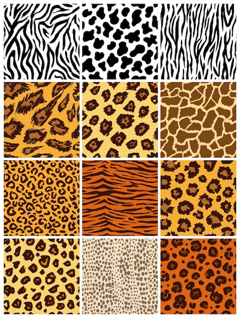 Animal seamless pattern set Mammals Fur Collection of print skins Predators Camouflage Cheetah Giraffe Zebra Leopard Holstein cattle Snake Jaguar Printable Background Vector illustration