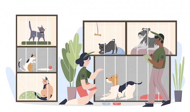 Animal shelter with pets in cages. man and woman volunteers feeding animals cartoon flat   illustration