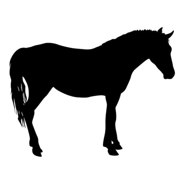 黒いムスタング馬のイラストの動物のシルエット