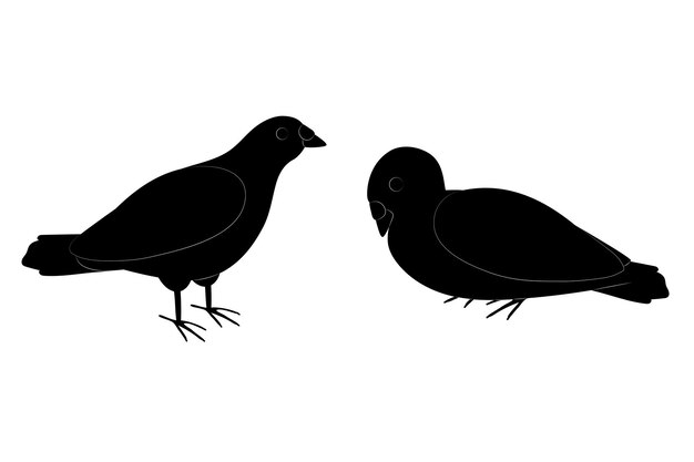 Animal silhouette dove 2