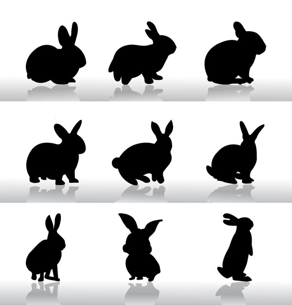 Vector animal silhouette set design and illustration