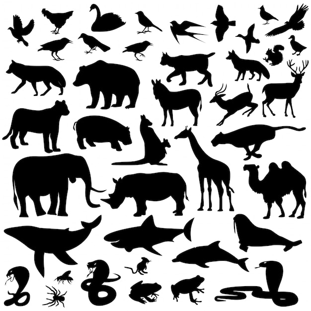 Vector animal silhouettes collection