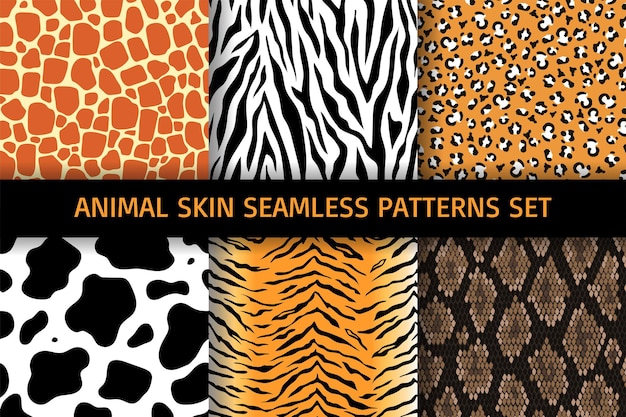 Animal skin seamless patterns setcollection of printsuse for wallpaperfabricvector illustration