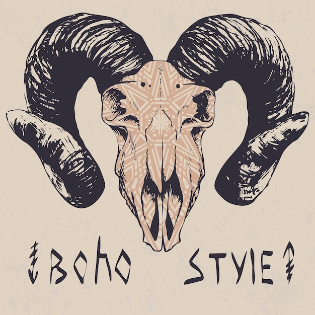 Vector animal skull hand drawing boho style it can be used as a tshirt print picture