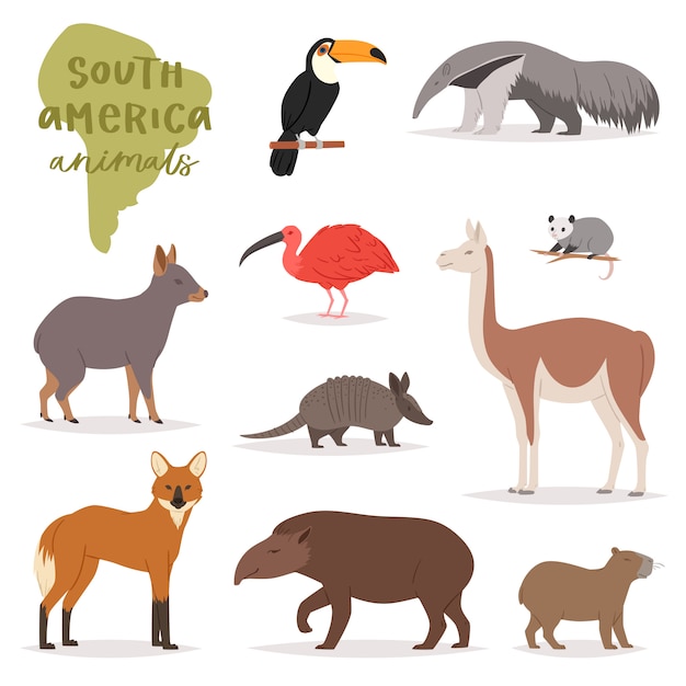 Animale in sud america animale selvaggio mammifero carattere capibara tapiro tucano nel sud della fauna selvatica illustrazione set di lucertola tropicale colibri isolato su sfondo bianco