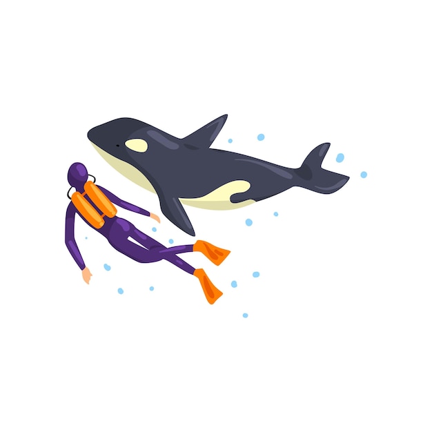 Animal trainer and orca performing in public in dolphinarium vector Illustration isolated on a white background