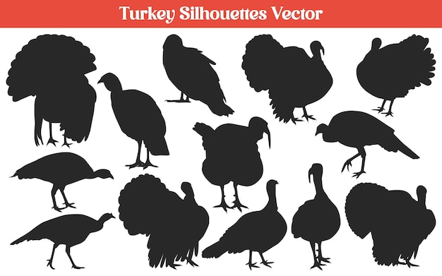 Animal turkey silhouettes Vector Collection