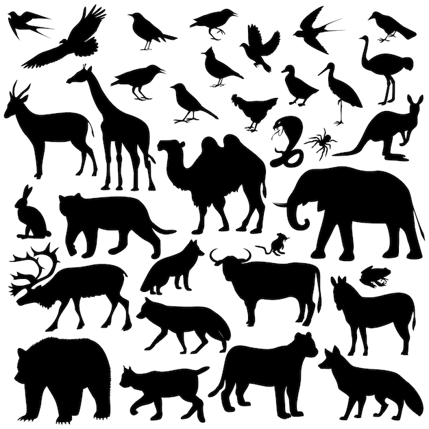 Animal world collection isolated on white