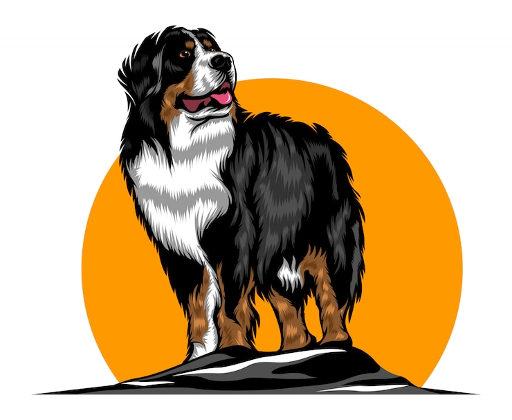 Vector animal