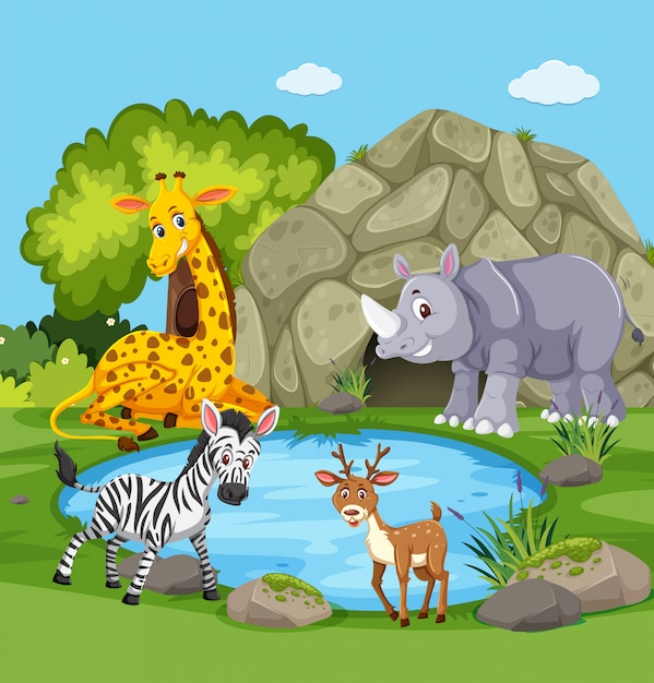 Animals around a pond