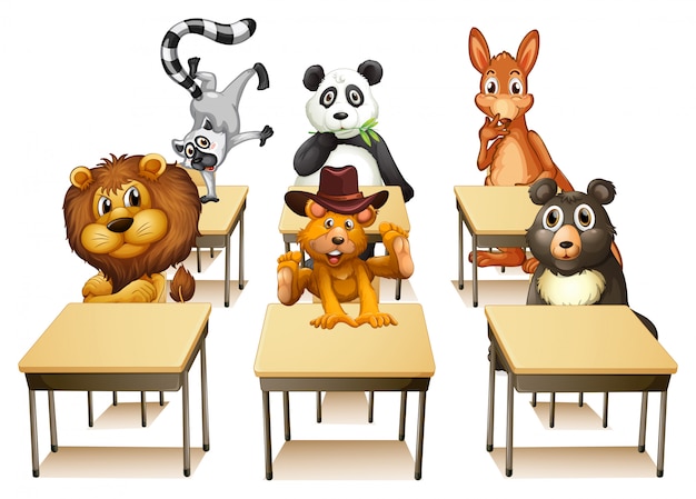 Animals in classroom