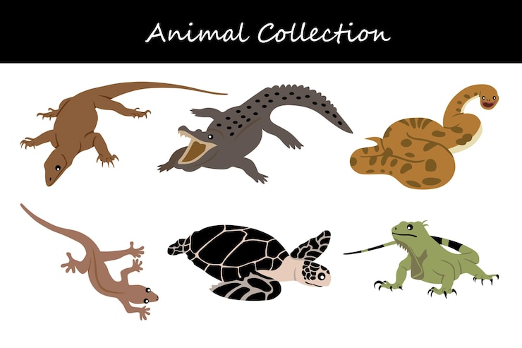 Vector animals collection flat style vector illustration