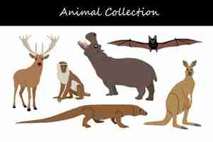 Vector animals collection isolated on white background flat style vector illustration