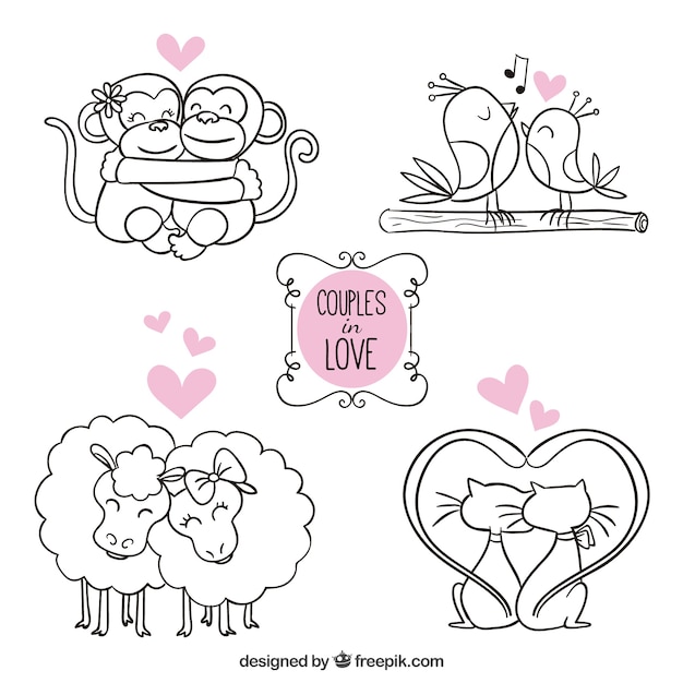 Animals couples in love