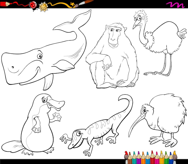 Vector animals and food coloring page