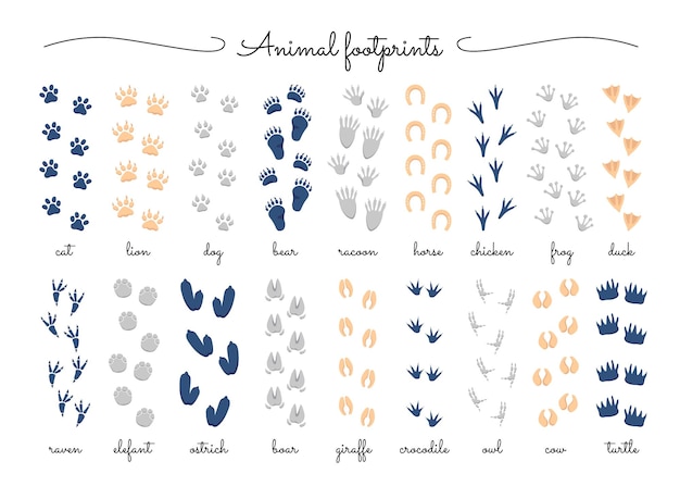 Animals footprints flat icons set different variations of footstep print of domestic bird duck bull chicken and horse footprints of wild animals dangerous wildlife color isolated illustrations