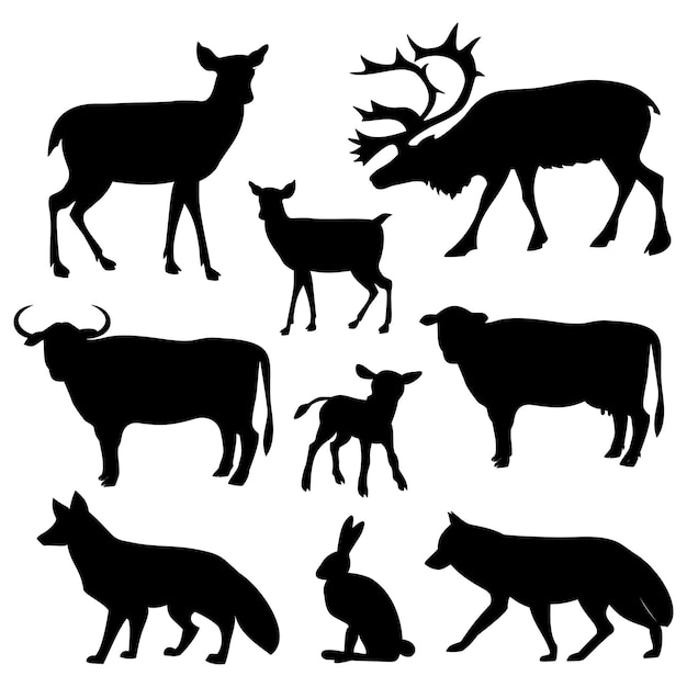 The animals of the forest