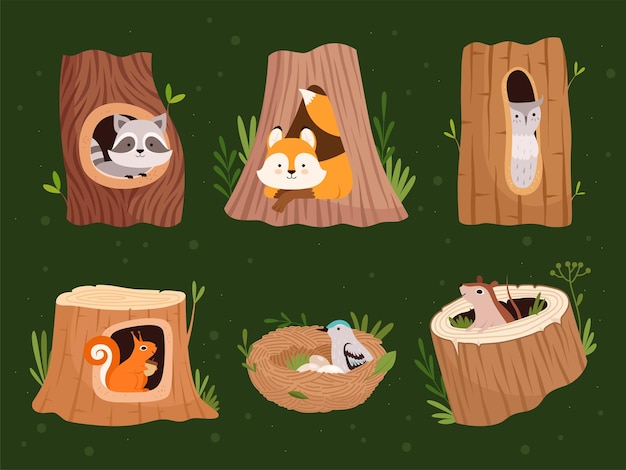 Vector animals hollow. wood forest trees with holes for wild animals houses vector cartoon collection. wildlife raccoon and squirrel, bird nest home illustration