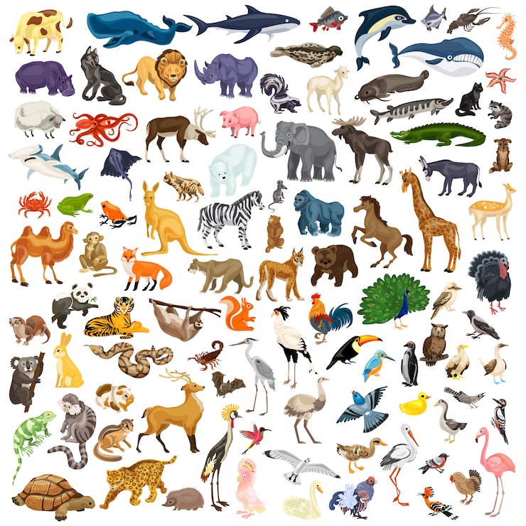 Vector 動物のアイコンを設定