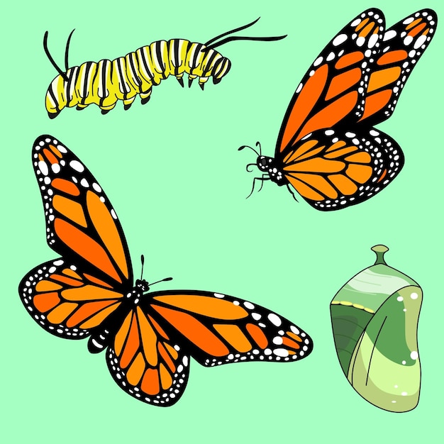 Illustrazione di animali, serie di disegni vettoriali di farfalle