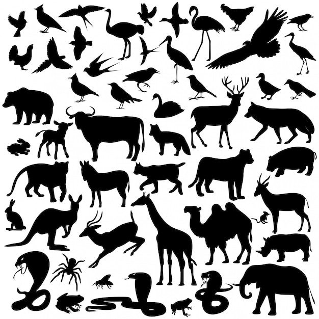 Vector animals ,image animals