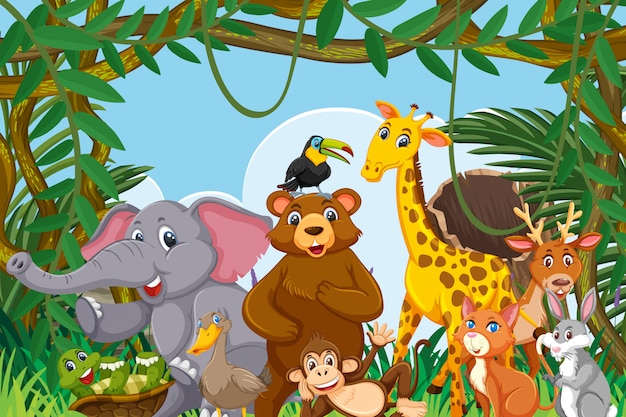 Animals in jungle scene