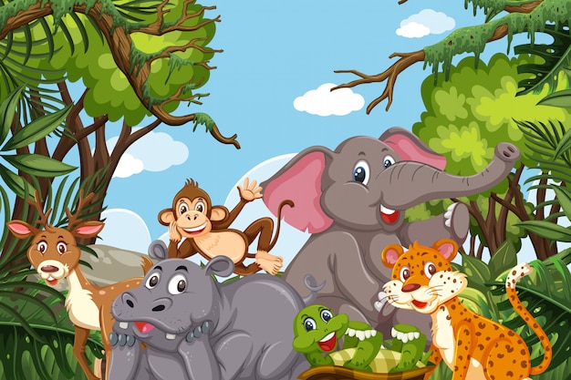 Vector animals in jungle scene