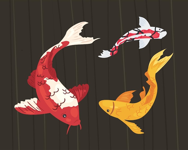 Animals koi fishes