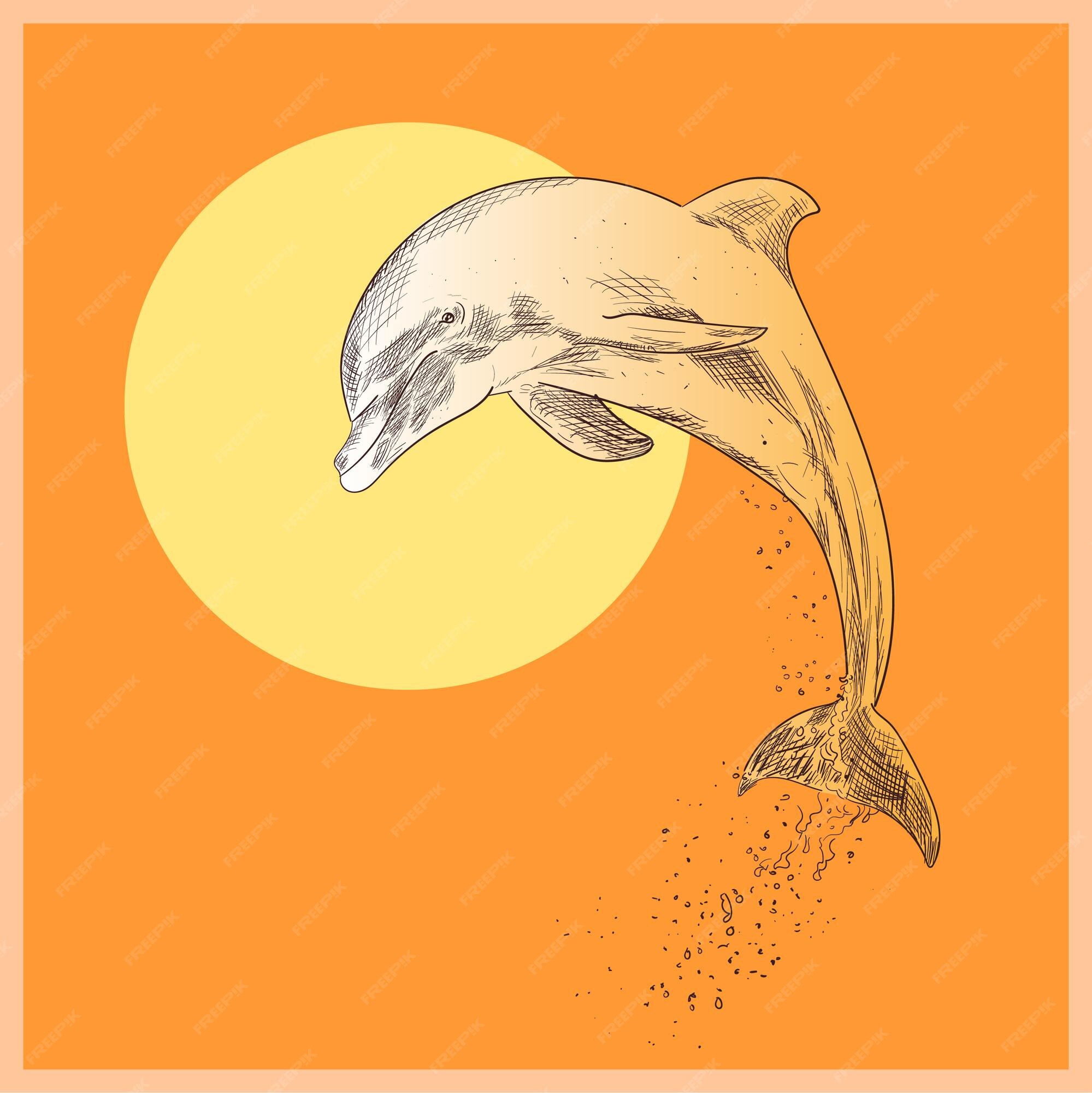 Premium Vector | Animals line drawn illustrations