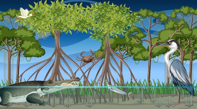 Vector animals live in mangrove forest at night scene
