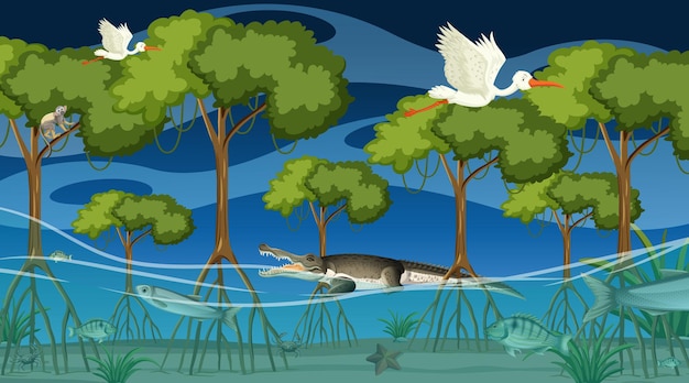 Vector animals live in mangrove forest at night scene