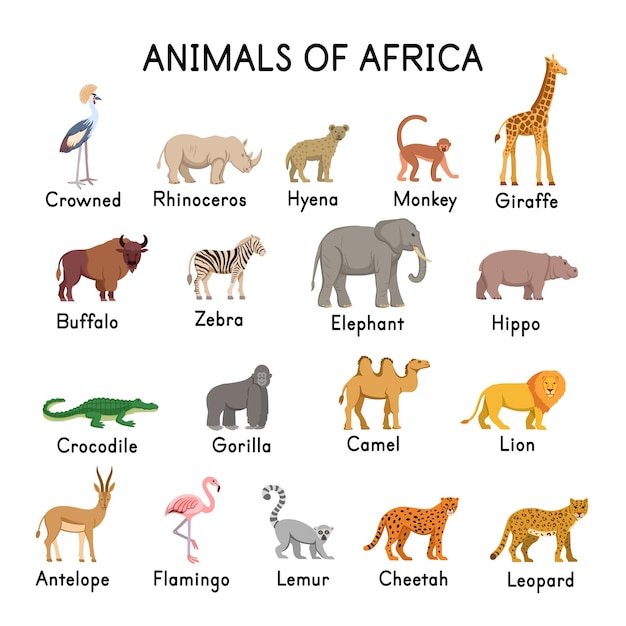 ベクトル アフリカの動物ハイエナキリンシマウマ象クロコダイルゴリラライオンアンテロープフラミンゴキツネザルチーターヒョウラクダラクダカバサイサイ白地に戴冠クレーン