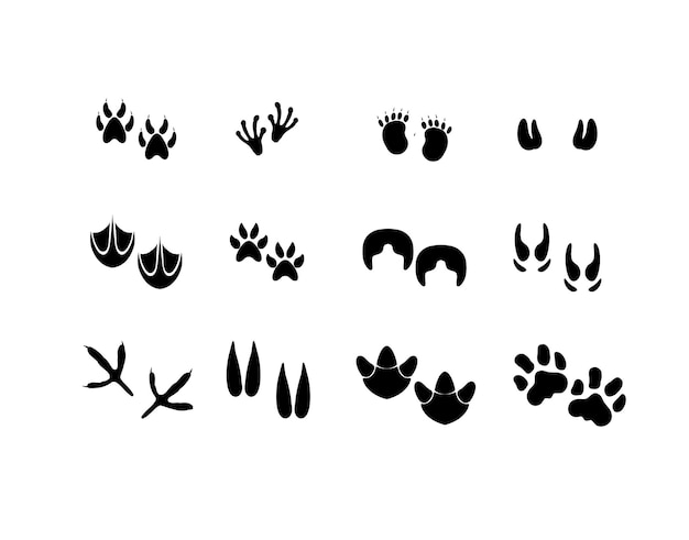 Vector animals paws collection