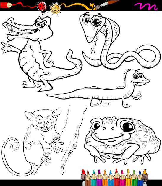 animals set cartoon coloring book