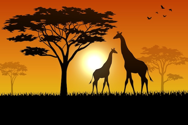 Animals silhouette in sunset at savanah